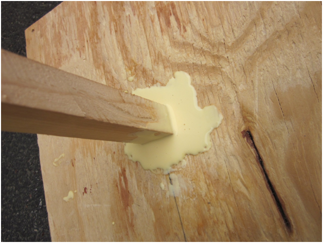 The five types of wood glue you need to know