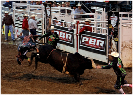 A history of the rodeo