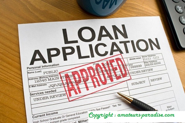 What Are Loans To Individuals