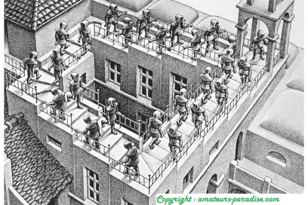 Con-Science Project Escher