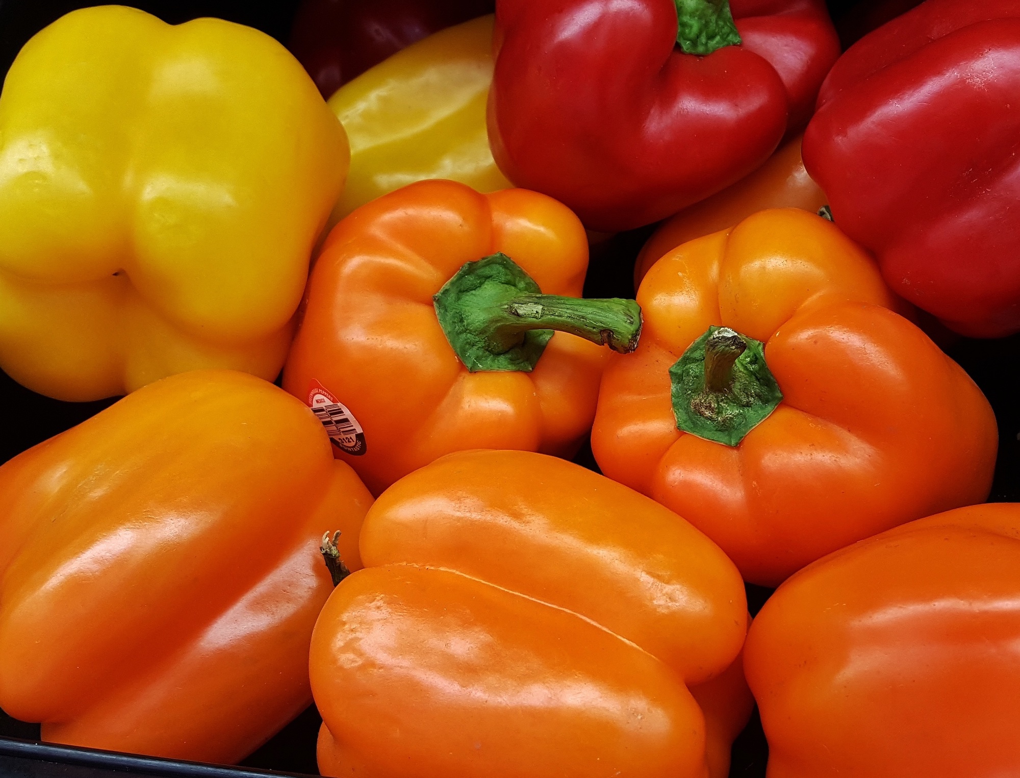 How to store peppers