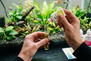 Digital water test kit next to a lush freshwater aquarium in Florida.